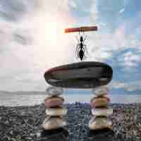 标​签​机‍使​用​方‍法‍及﻿注​意﻿事‍项‍